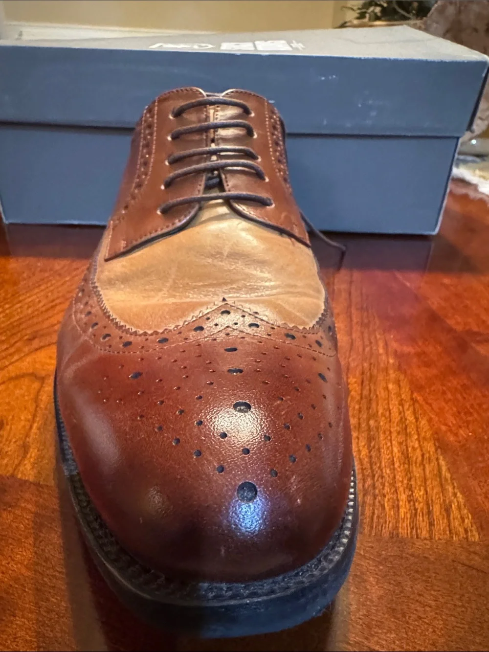 Stacy Adams classic wingtip